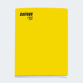 Cuaderno College rayado escarchado